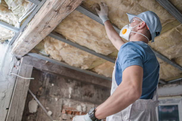 Best Insulation Maintenance and Repair in Rutherford, NJ